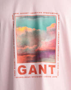 GANT WASHED GRAPHIC SS T-SHIRT