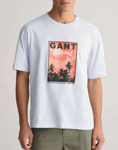 GANT WASHED GRAPHIC SS T-SHIRT