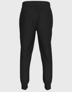 CALVIN KLEIN INSTITUTIONAL HWK PANT