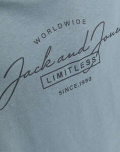 JACK&JONES JJFERRIS TEE SS CREW NECK JNR