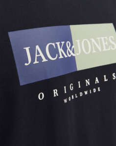 JACK&JONES JORFREDERIKSBERG BOX TEE SS C.N SN