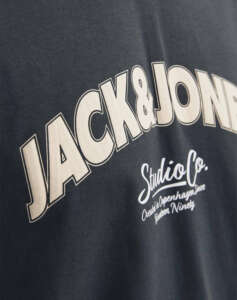 JACK&JONES JORBRONX ARCH BIG TEE SS CREW NECK LN