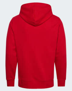 GANT LS PRINT SWEAT HOODIE