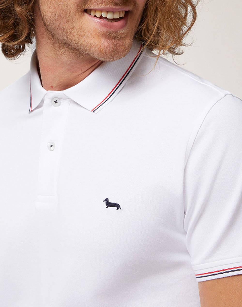 HARMONT&BLAINE POLO