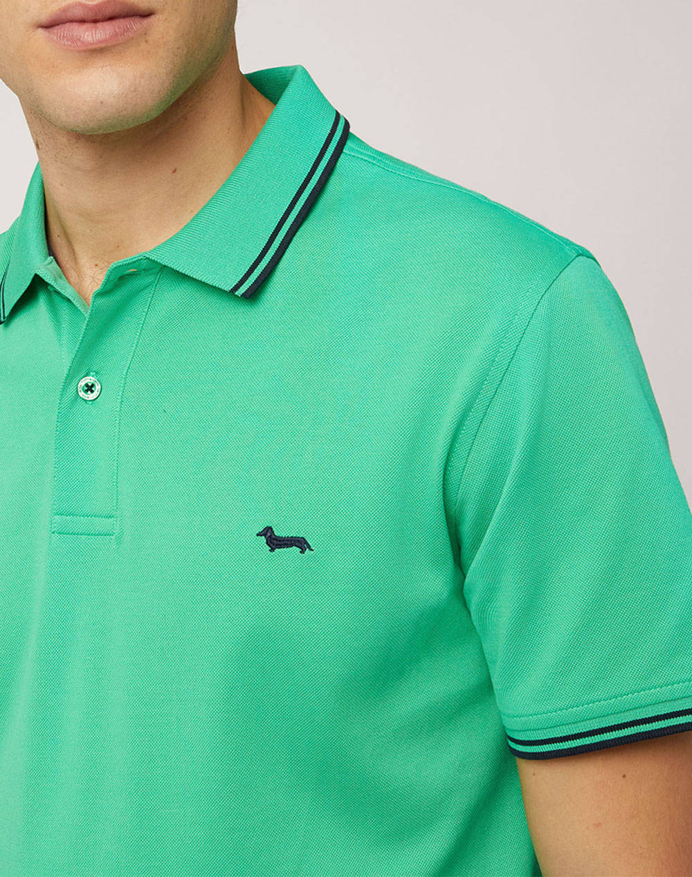 HARMONT&BLAINE POLO