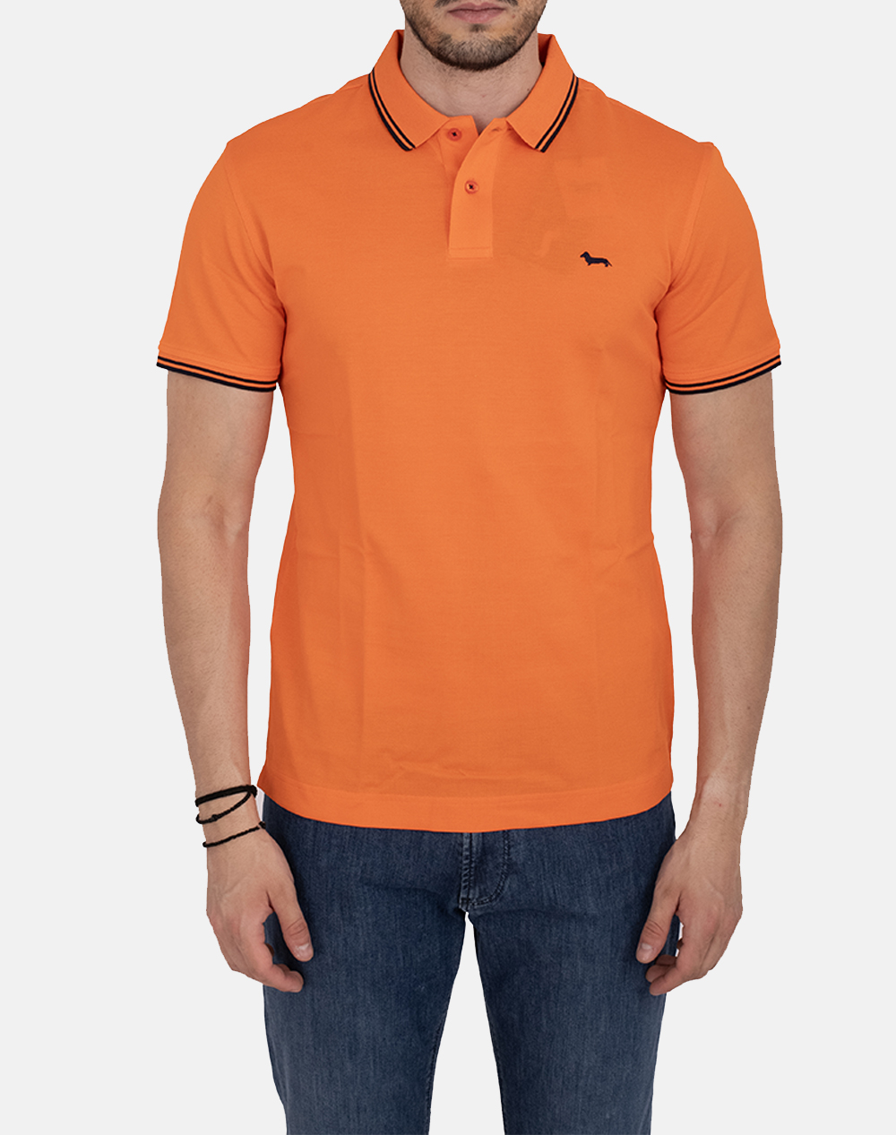 HARMONT&BLAINE POLO