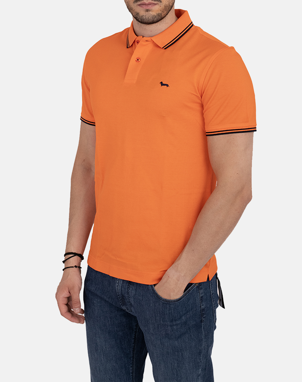 HARMONT&BLAINE POLO