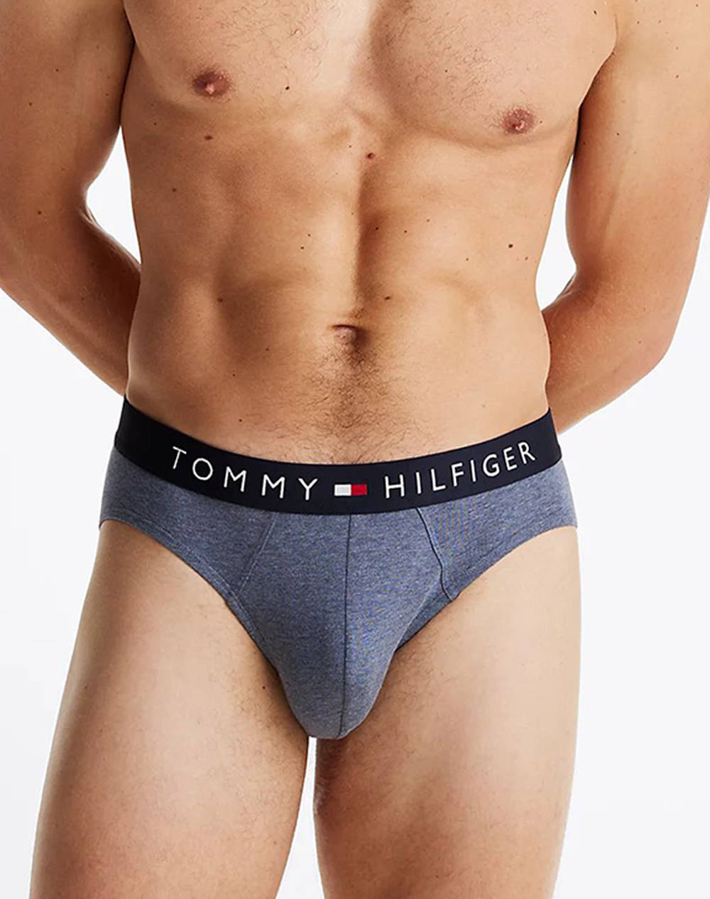 TOMMY HILFIGER 3P BRIEF PRINT