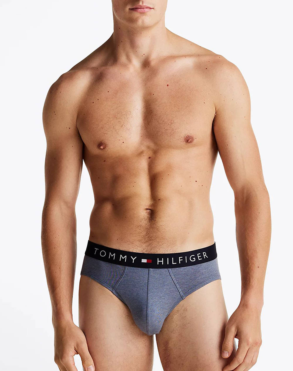 TOMMY HILFIGER 3P BRIEF PRINT