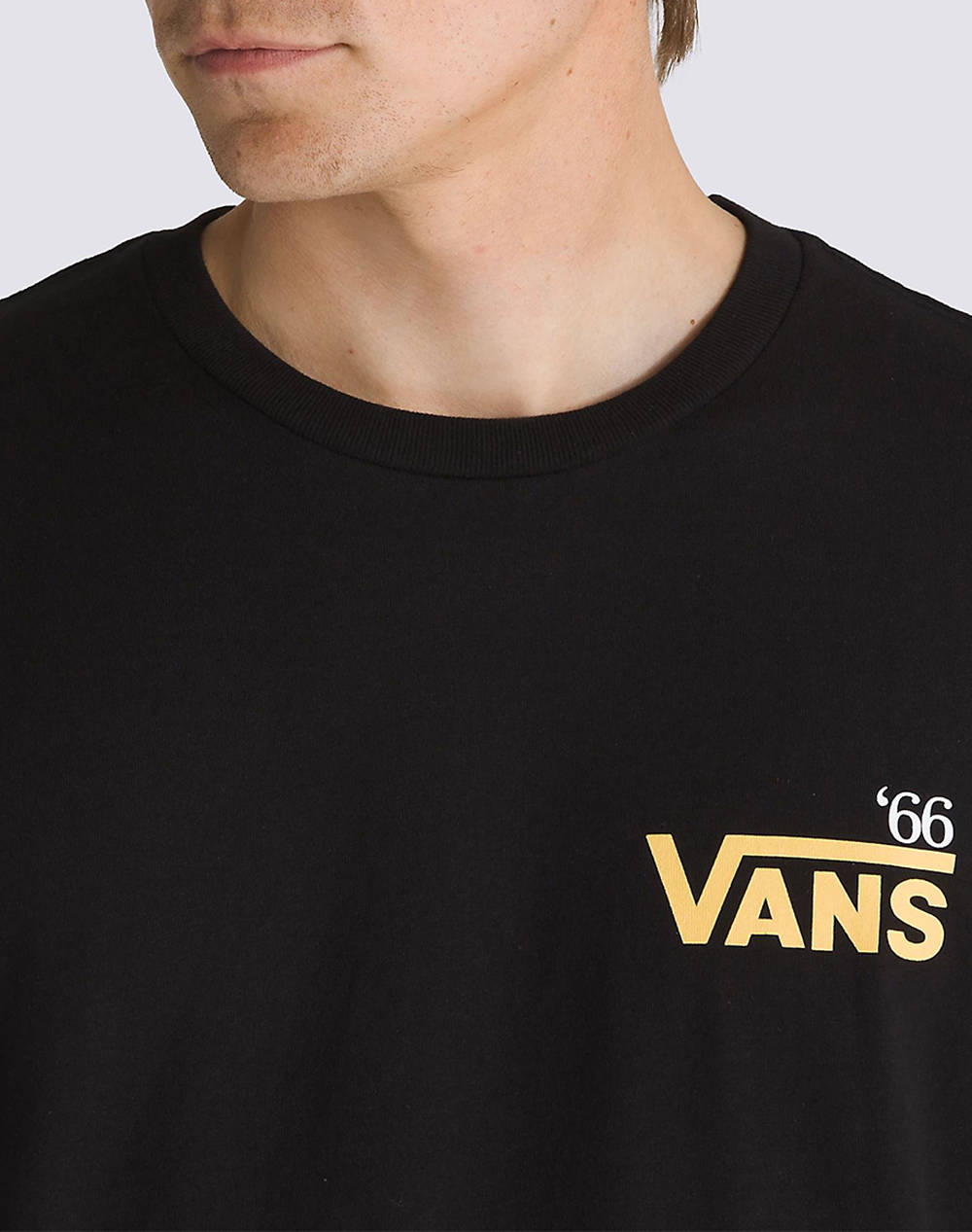 VANS POSTED SS