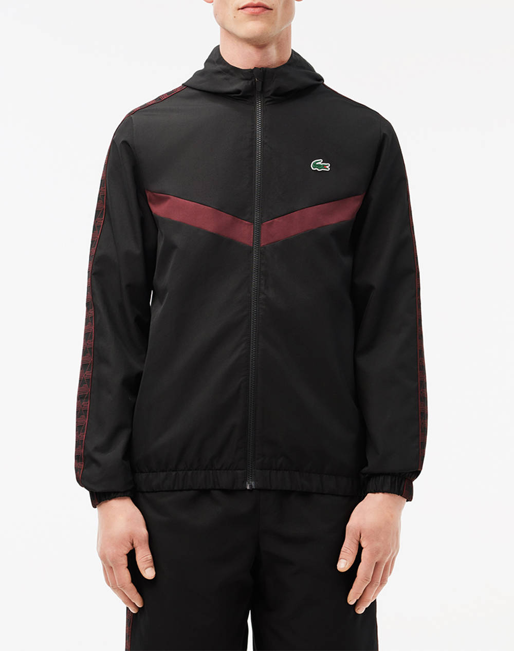 Lacoste blouson jacket best sale