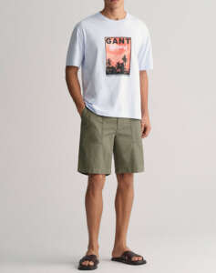 GANT WASHED GRAPHIC SS T-SHIRT